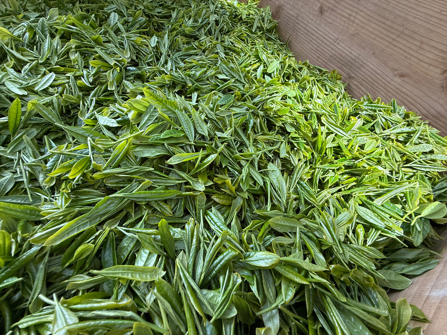 【2025新茶】手摘み煎茶 "叶迫" -Kanezako- 30g