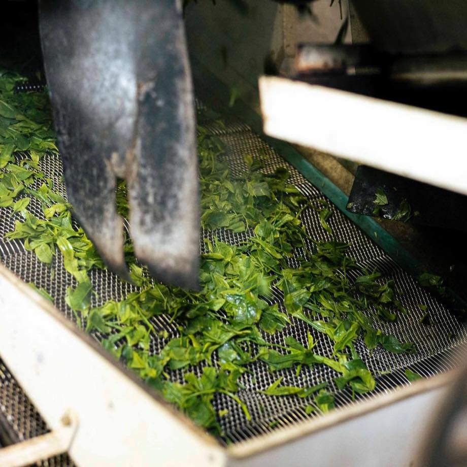 【2025新茶】煎茶 "叶迫" -Kanezako- 50g