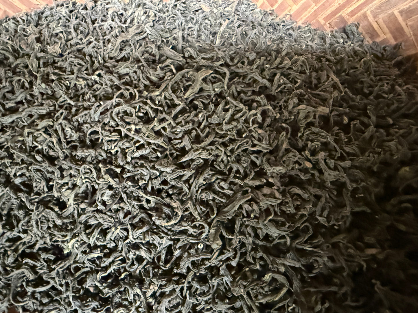 全手工 釜炒り烏龍茶 2025 NO.20 【さやまみどり】 18g